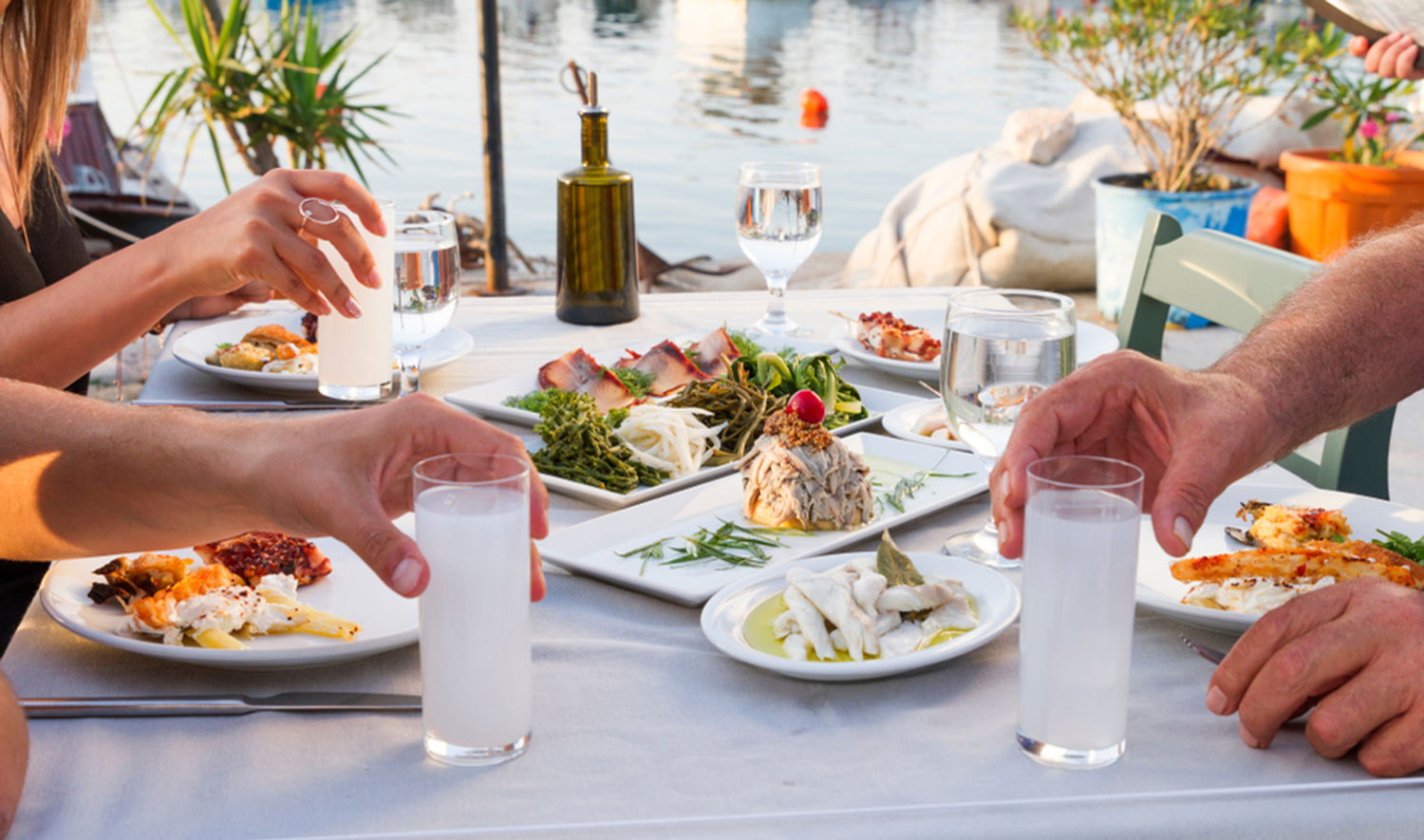 Rakı Damıtma Turu